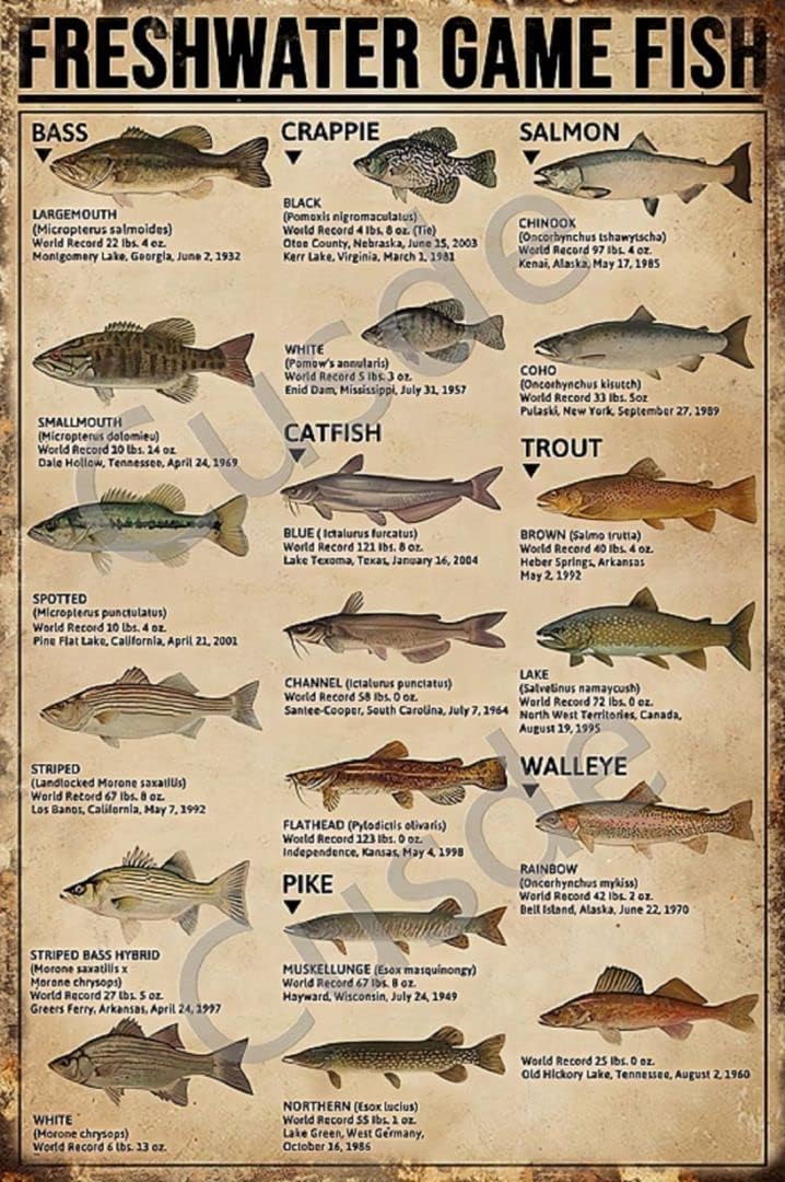 Home Decor Game - Cusde Freshwater Game Fish Tin Sign