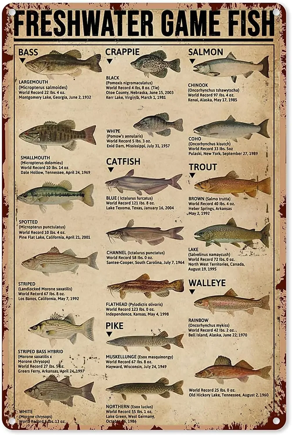 Fishing Art Posters Metal Sign – обзор и цена Home Decor Game
