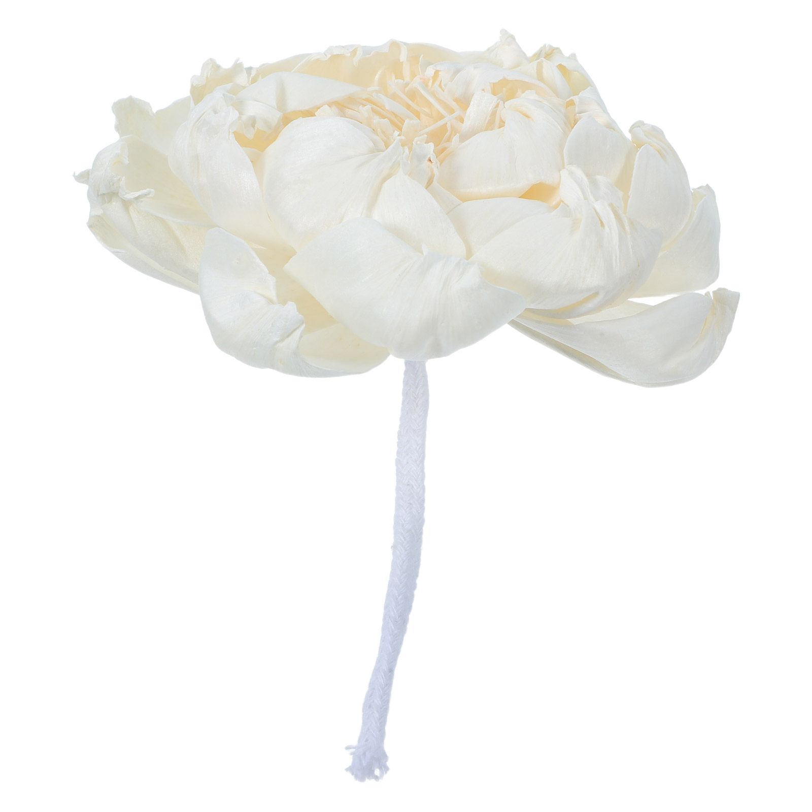 Peony Head Fragrance Diffuser  – обзор и цена Home Decor Flowers