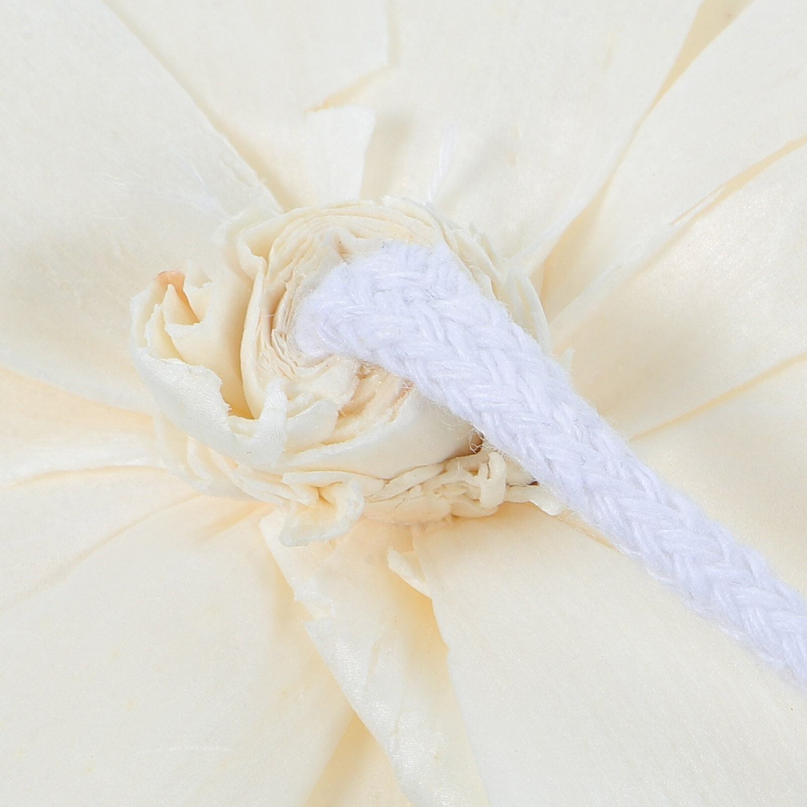 Peony Head Fragrance Diffuser  – обзор и цена Home Decor Flowers