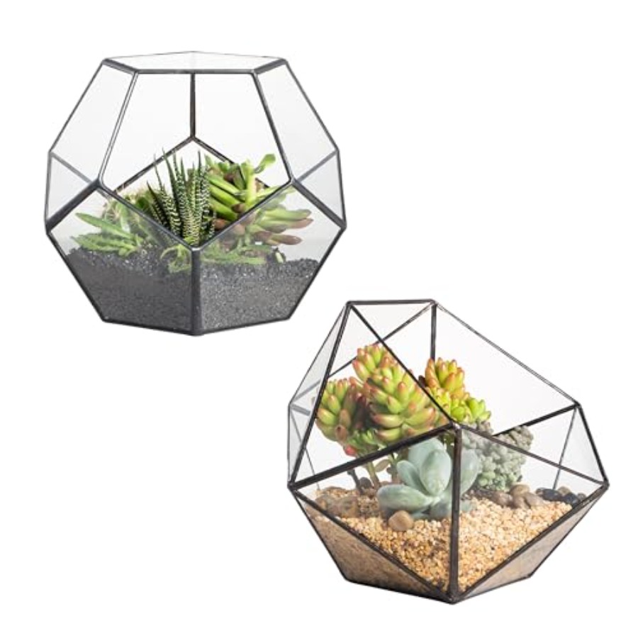 Glass Terrarium for indoor hom – обзор и цена Home Decor Garden Ideas