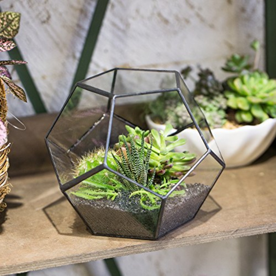 Glass Terrarium for indoor hom – обзор и цена Home Decor Garden Ideas