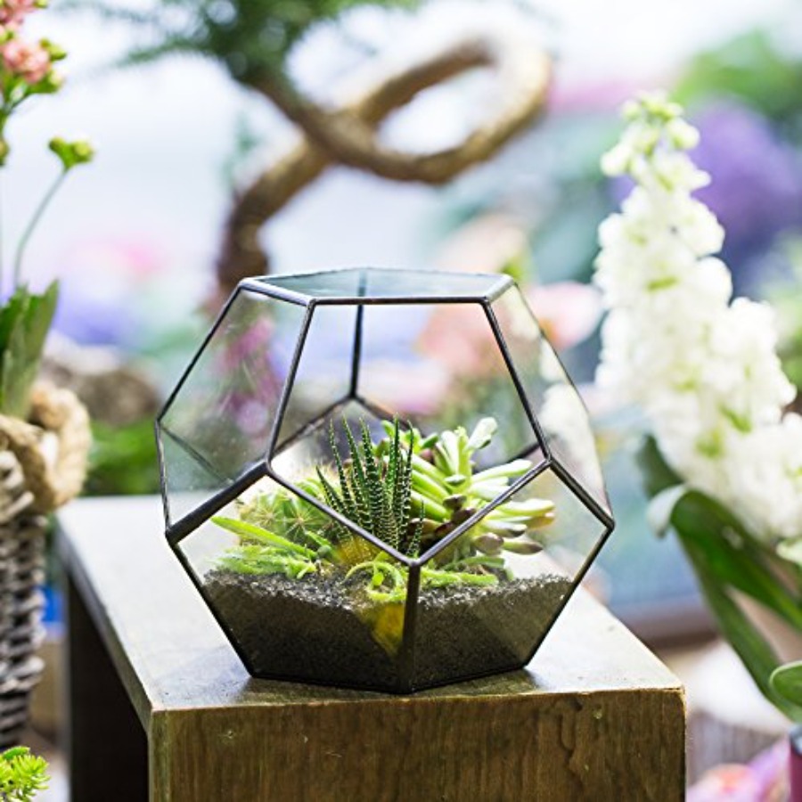 Glass Terrarium for indoor hom – обзор и цена Home Decor Garden Ideas