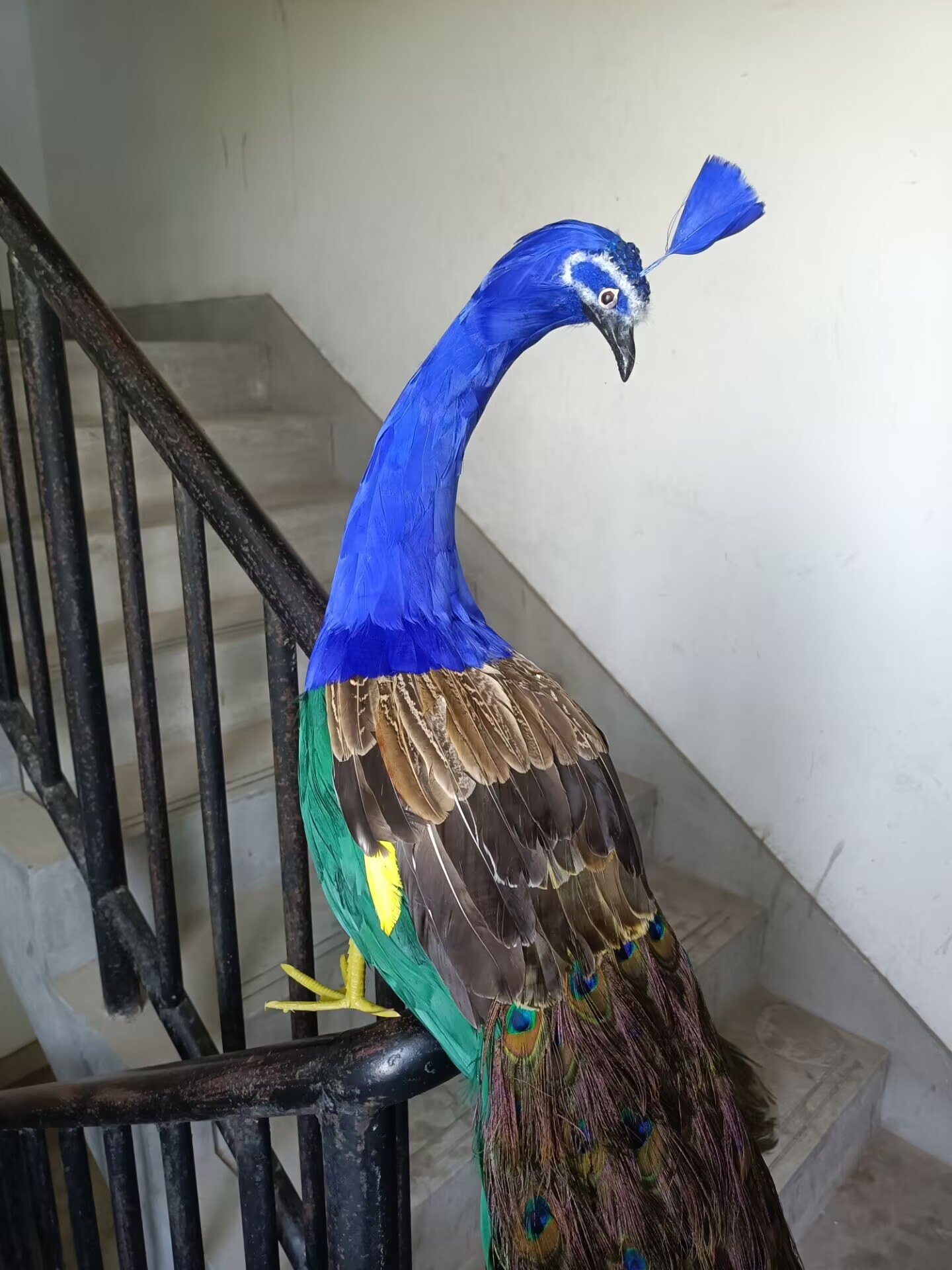 105cm Realistic Peacock Model  – обзор и цена Home Decor Design Ideas