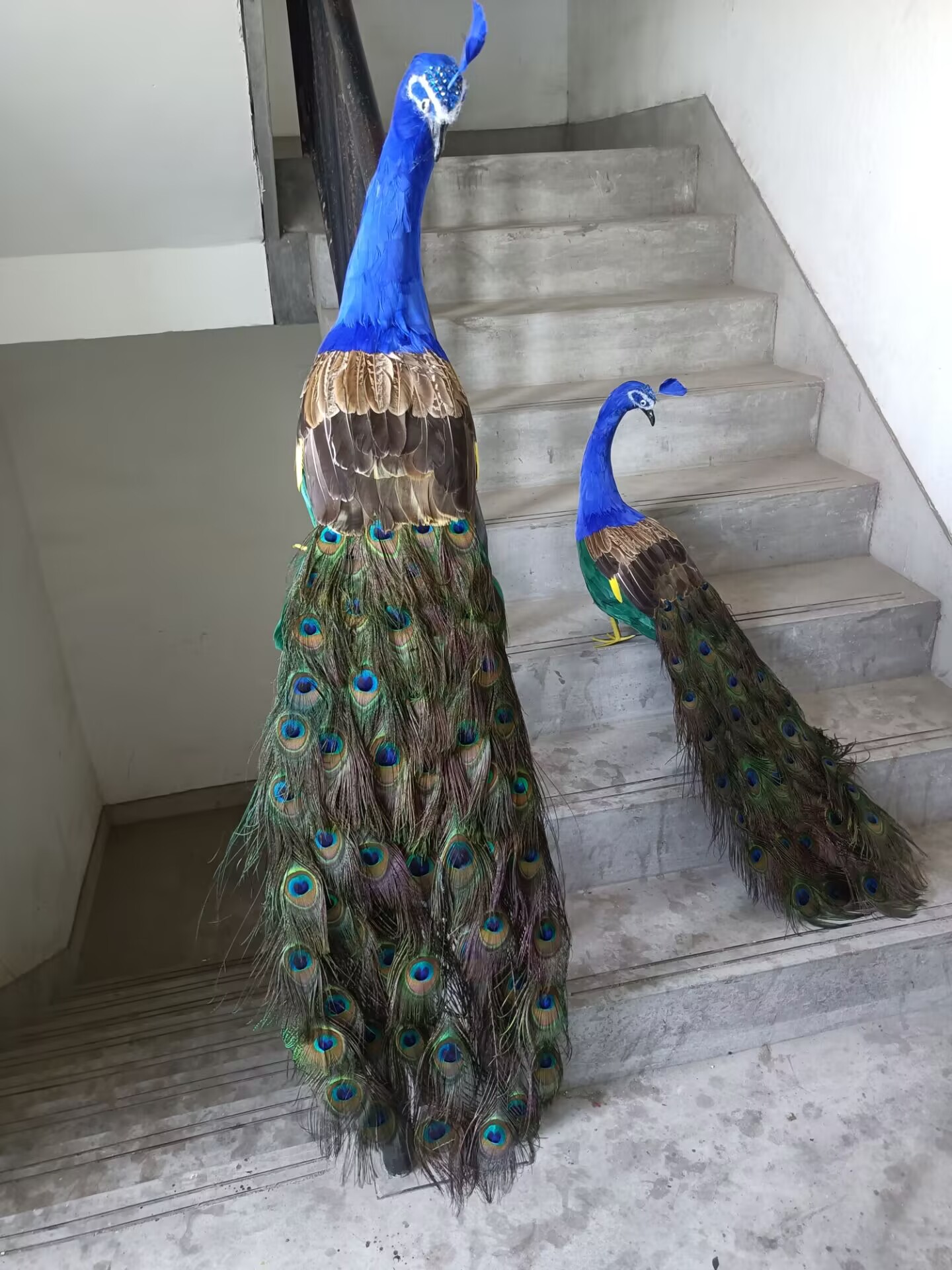 105cm Realistic Peacock Model  – обзор и цена Home Decor Design Ideas